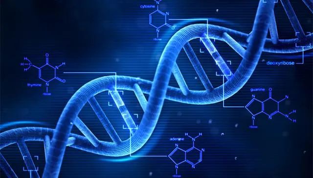 云顶国际app网址