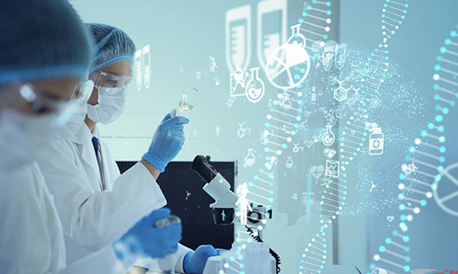 云顶国际app网址