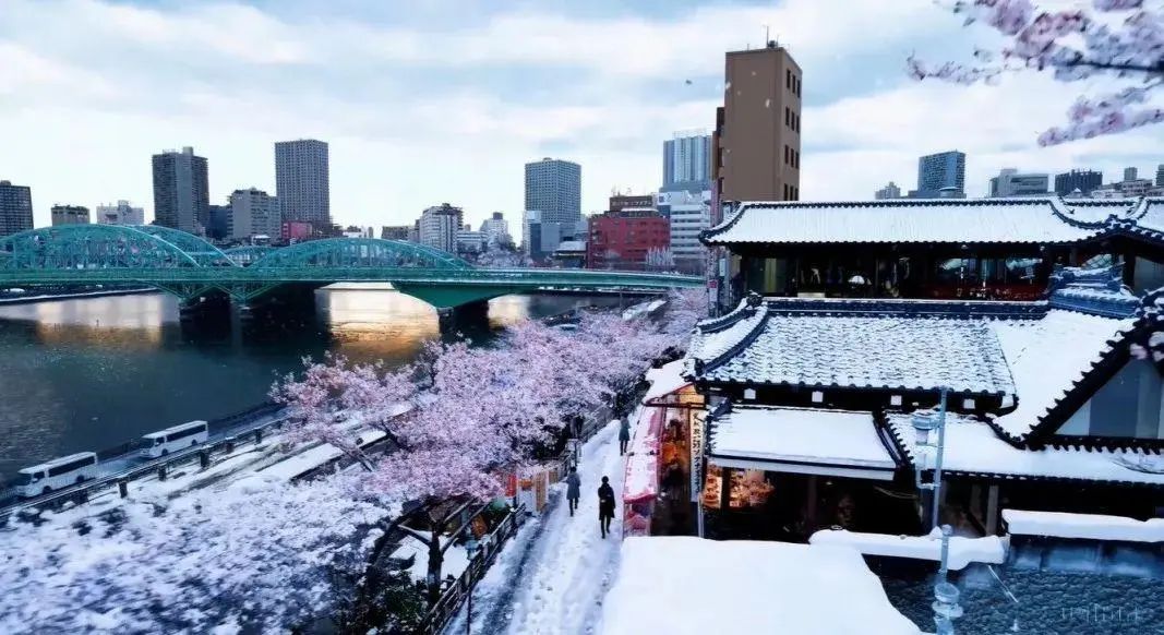 云顶国际app网址