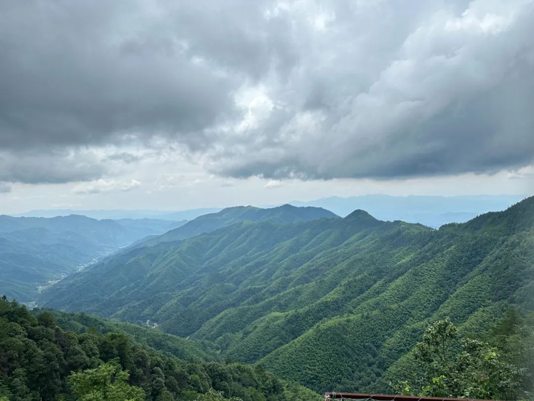 云顶国际app网址