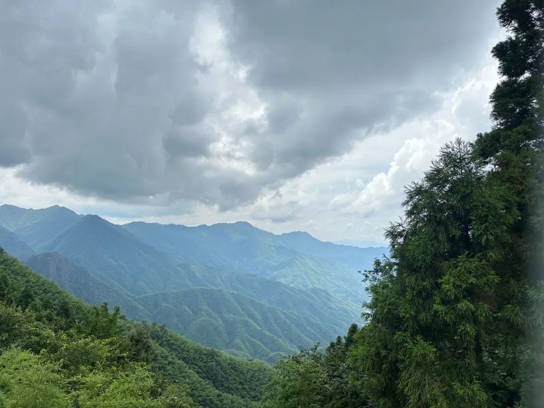 云顶国际app网址